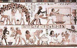 Egyptian Drawing showing wine making in Egypt